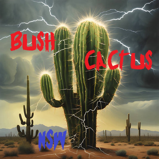 Bush Cactus Gift Card